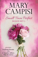 Mary Campisi - Small Town Perfect Boxed Set 1 artwork