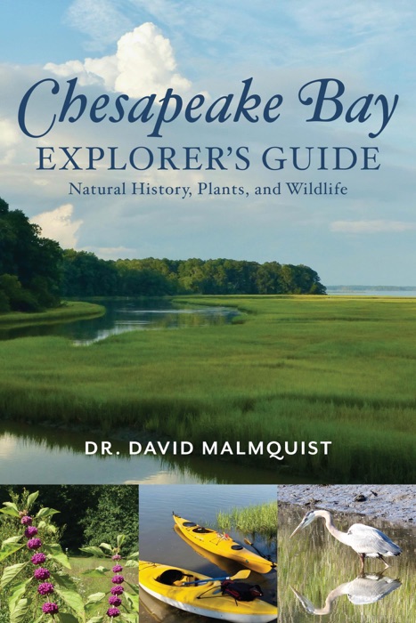 Chesapeake Bay Explorer's Guide