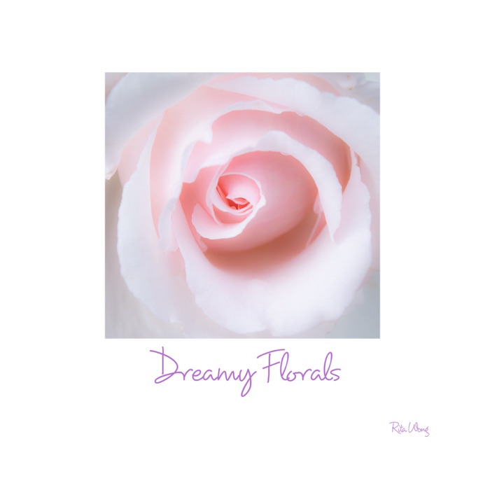 Dreamy Florals