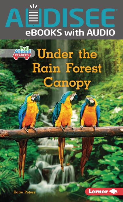 Under the Rain Forest Canopy (Enhanced Edition)