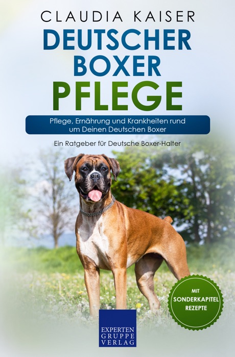 Deutscher Boxer Pflege