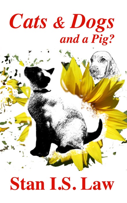 Cats &  Dogs and a Pig?