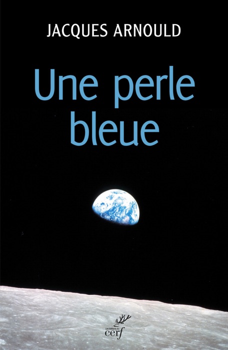 Une perle bleue