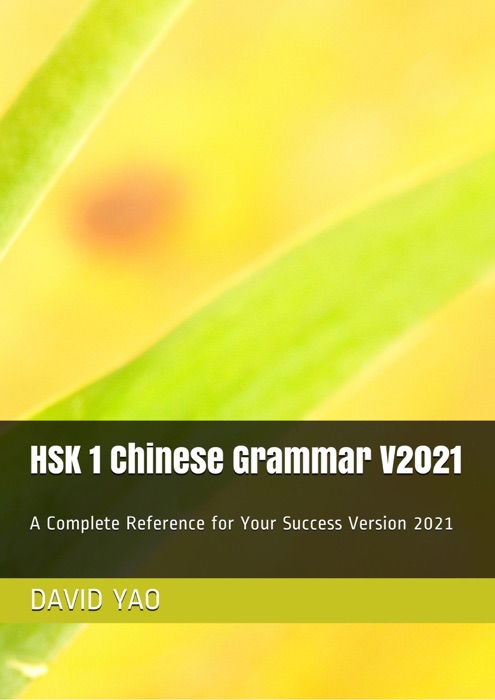 HSK 1 汉语语法  Chinese Grammar V2021