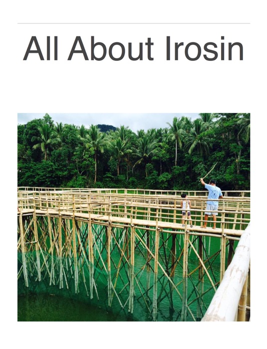 ALL ABOUT  IROSIN