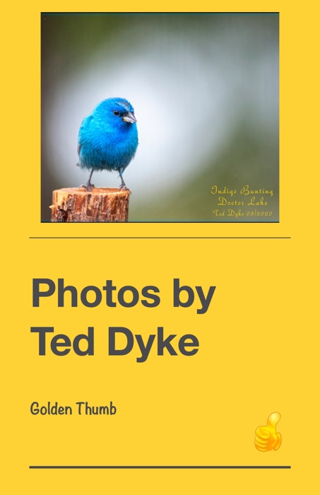 Photos by Ted Dyke