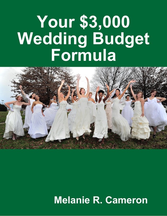 Your $3,000 Wedding Budget Formula