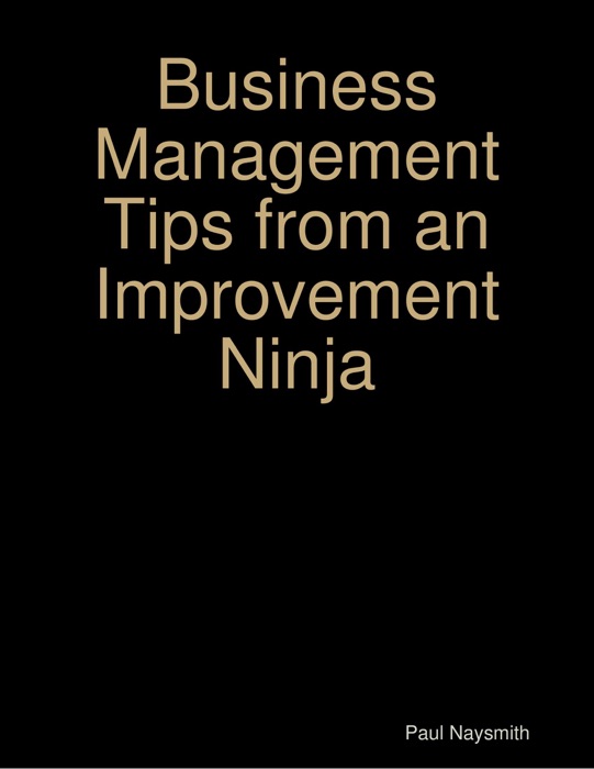 Business Management Tips from an Improvement Ninja