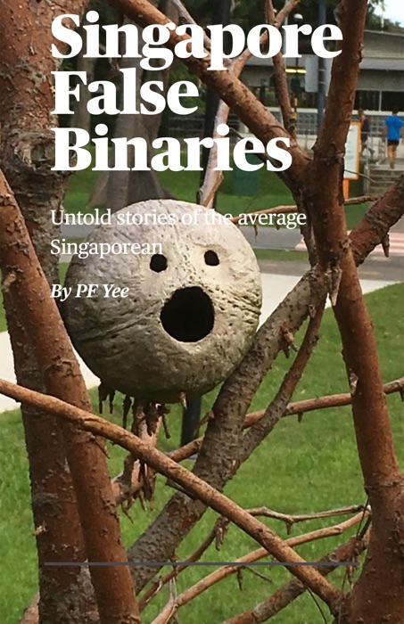 Singapore False Binaries book