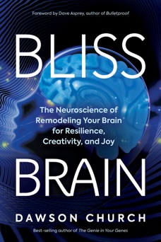 Bliss Brain - Dawson Church