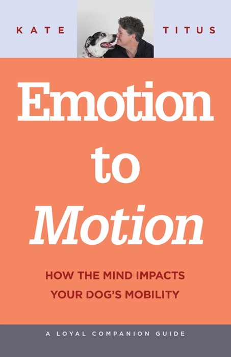 Emotion to Motion
