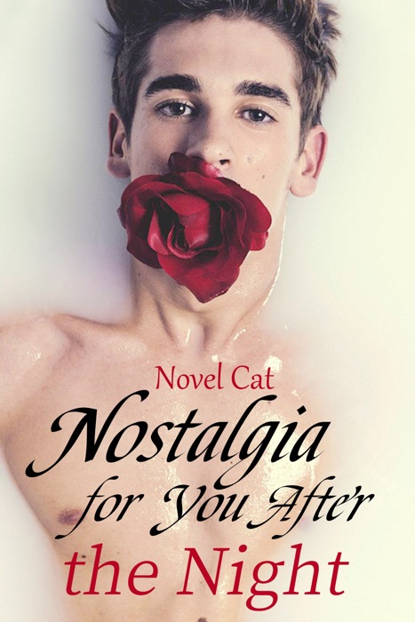 Nostalgia for You after the Night (Book1)