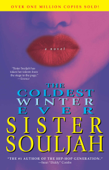 The Coldest Winter Ever - Sister Souljah