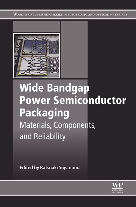 Wide Bandgap Power Semiconductor Packaging