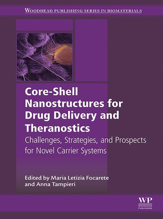 Core-Shell Nanostructures for Drug Delivery and Theranostics