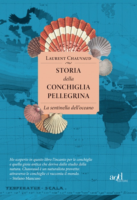 Storia della conchiglia pellegrina