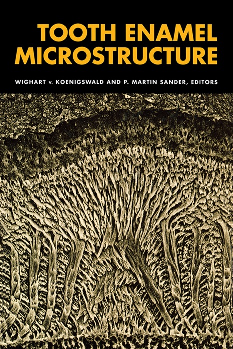 Tooth Enamel Microstructure