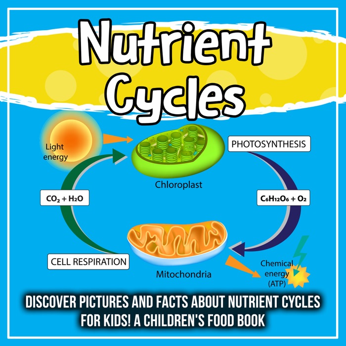 Nutrient Cycles: Discover Pictures and Facts About Nutrient Cycles For Kids! A Children's Food Book