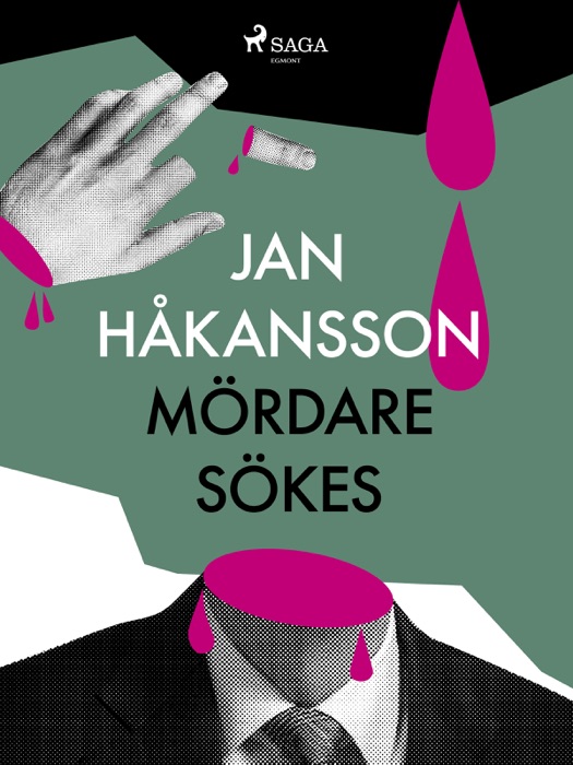 Mördare sökes