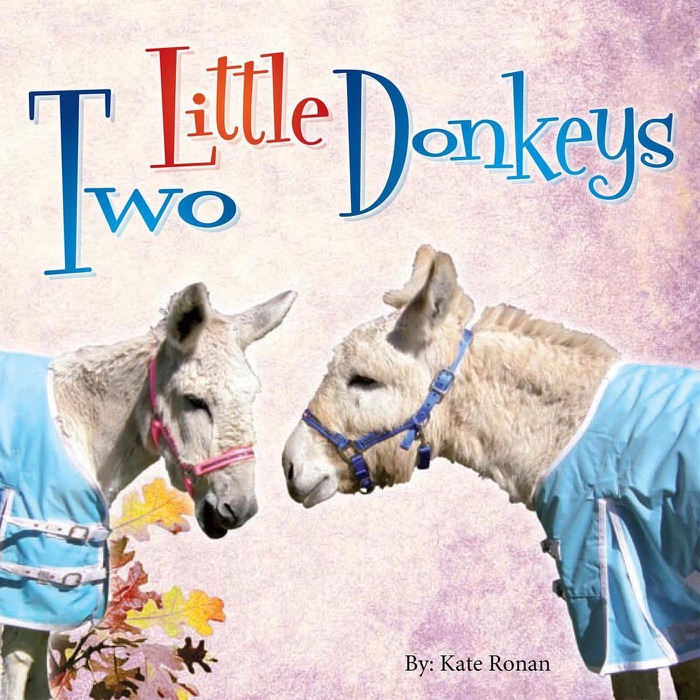 Two Little Donkeys