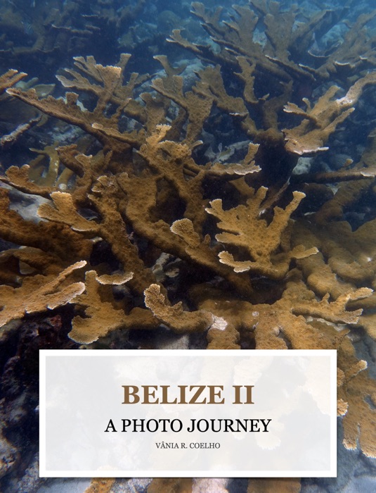 Belize II