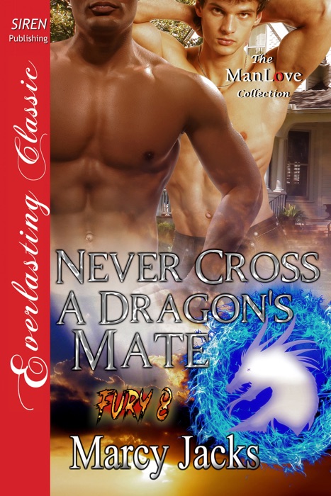 Never Cross a Dragon's Mate [Fury 8]