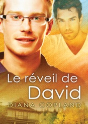 Download Le réveil de David