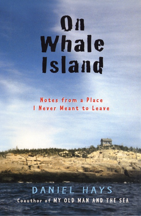 On Whale Island