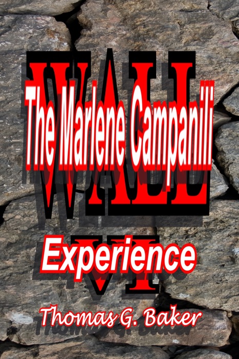 Wall VI The Marlene Campanili Experience