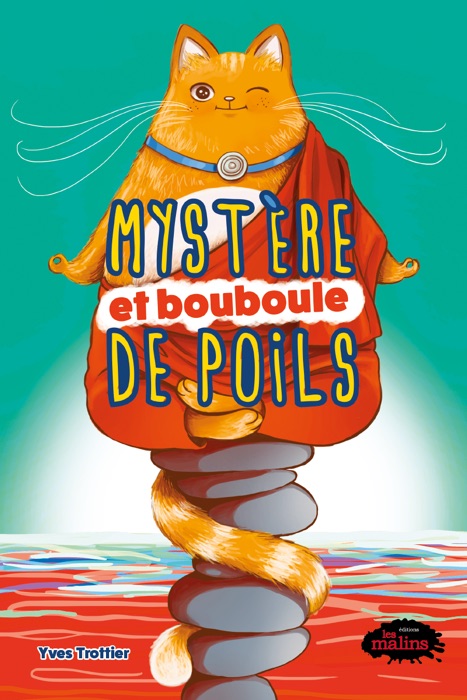 Mystère et bouboule de poils