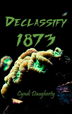 Declassify 1873