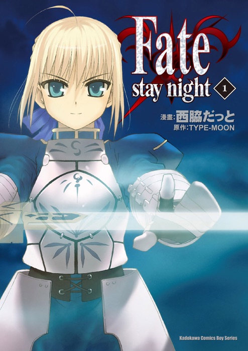 Fate/stay night (1)