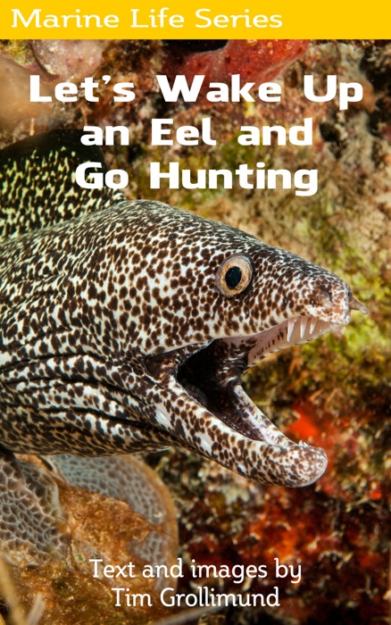 Let's Wake Up an Eel and Go Hunting