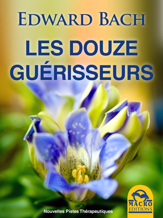 Les Douze Guérisseurs