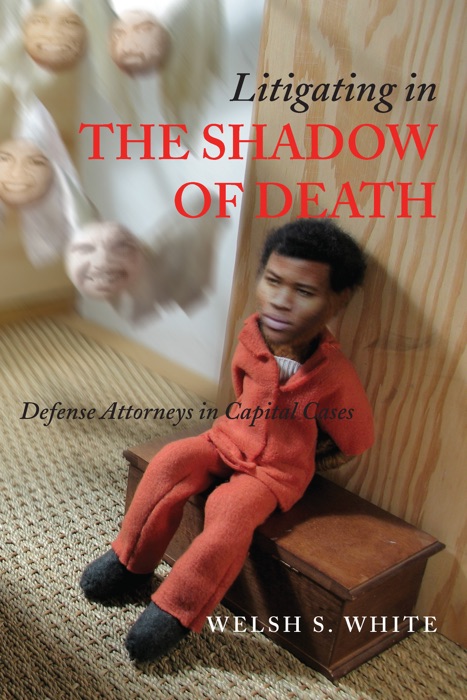 Litigating in the Shadow of Death