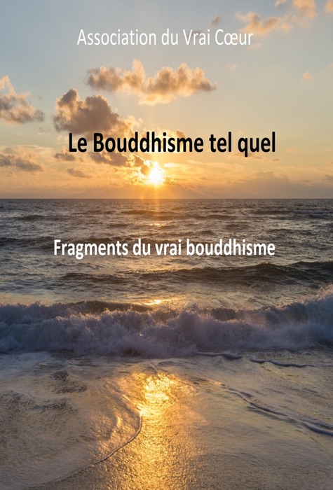 LE BOUDDHISME TEL QUEL