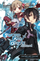 Reki Kawahara - Sword Art Online 2:  Aincrad (light novel) artwork