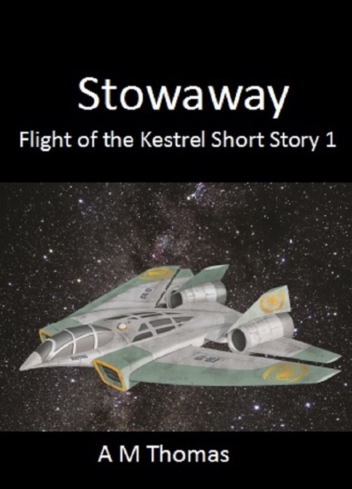 Stowaway: Flight of the Kestrel Short Story 1