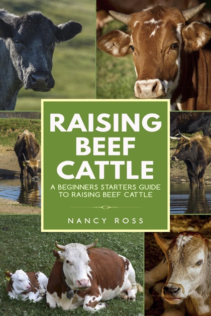 Raising Beef Cattle: A Beginner’s Starters Guide To Raising Beef Cattle ...