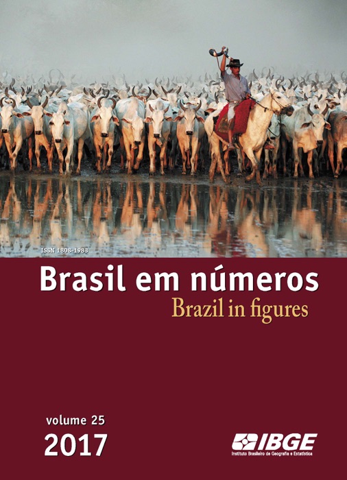 Brasil em números / Brazil in numbers 2017