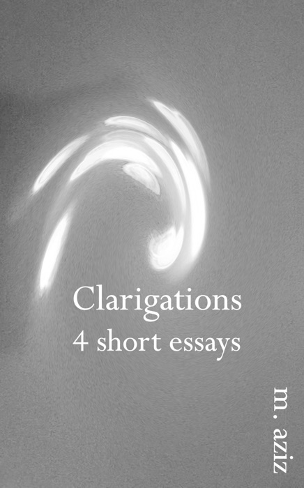 Clarigations: 4 Short Essays