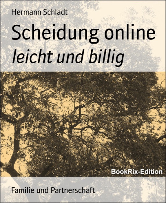 Scheidung online