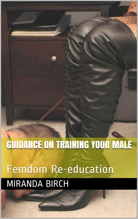 Guidance On Training Your Male: Femdom Re-education