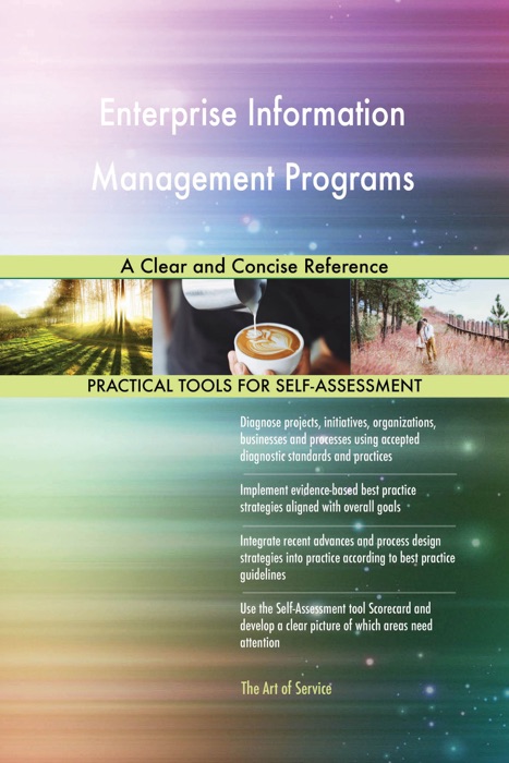 Enterprise Information Management Programs A Clear and Concise Reference