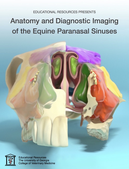 Anatomy and Diagnostic Imaging of the Equine Paranasal Sinuses