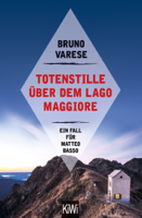 Bruno Varese - Totenstille über dem Lago Maggiore artwork