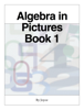 Algebra in Pictures  Book 1 - Joyce Hull