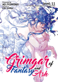 Grimgar of Fantasy and Ash: Volume 11 - Ao Jyumonji