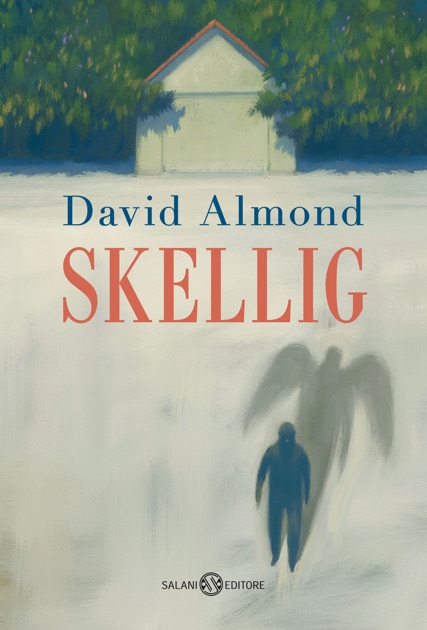 novel skellig by david almond