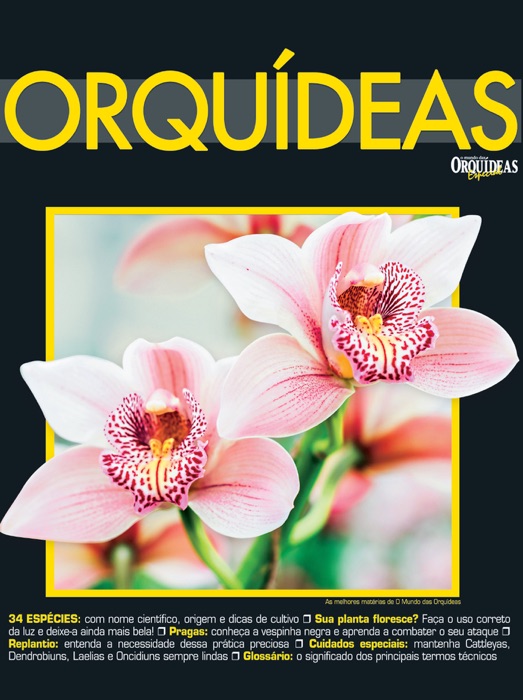 O Mundo das Orquídeas Especial 07